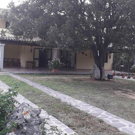 Agriturismo La Tuva Villa Padru Luaran gambar