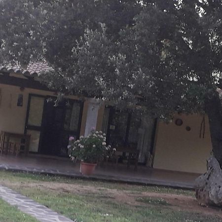 Agriturismo La Tuva Villa Padru Luaran gambar