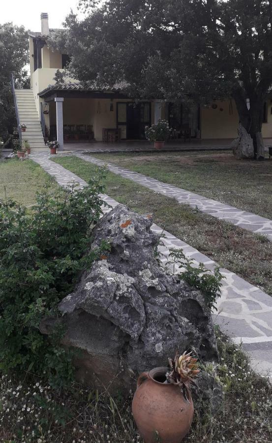 Agriturismo La Tuva Villa Padru Luaran gambar