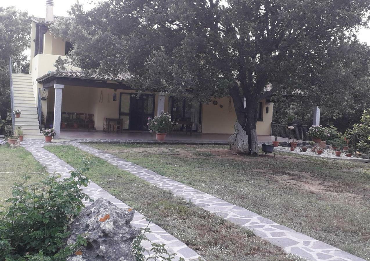 Agriturismo La Tuva Villa Padru Luaran gambar