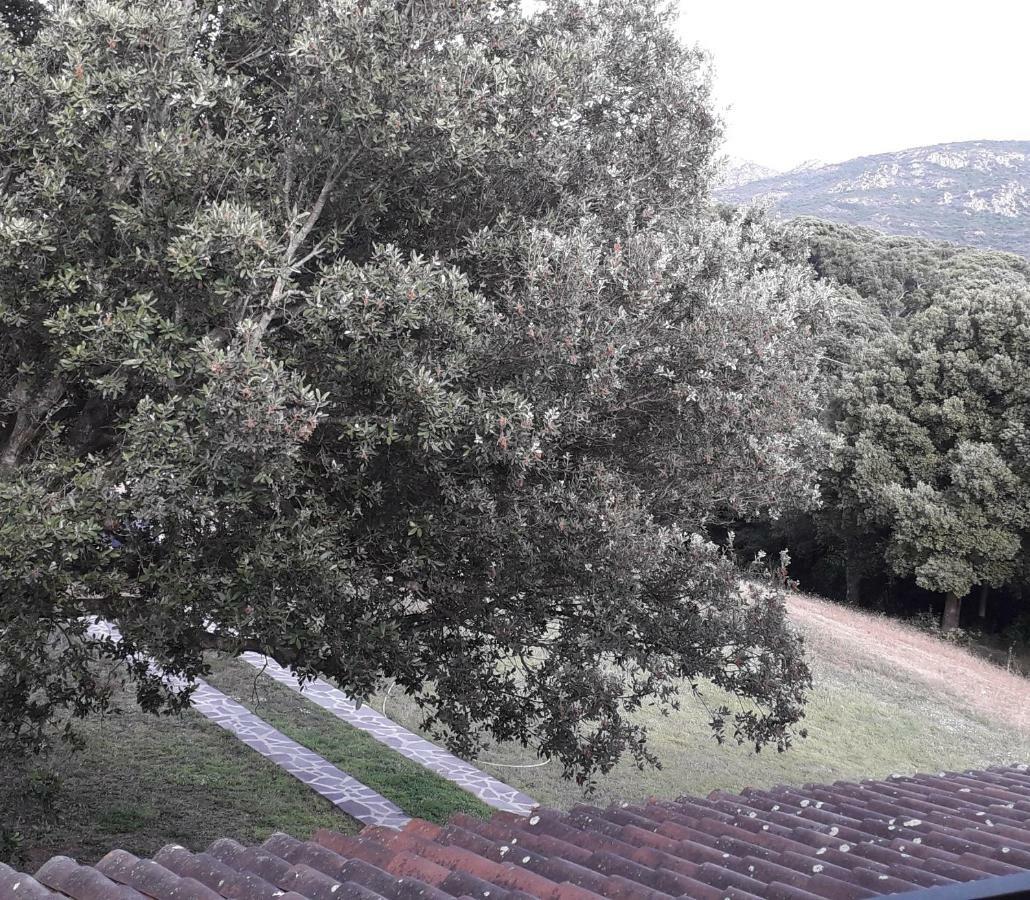 Agriturismo La Tuva Villa Padru Luaran gambar