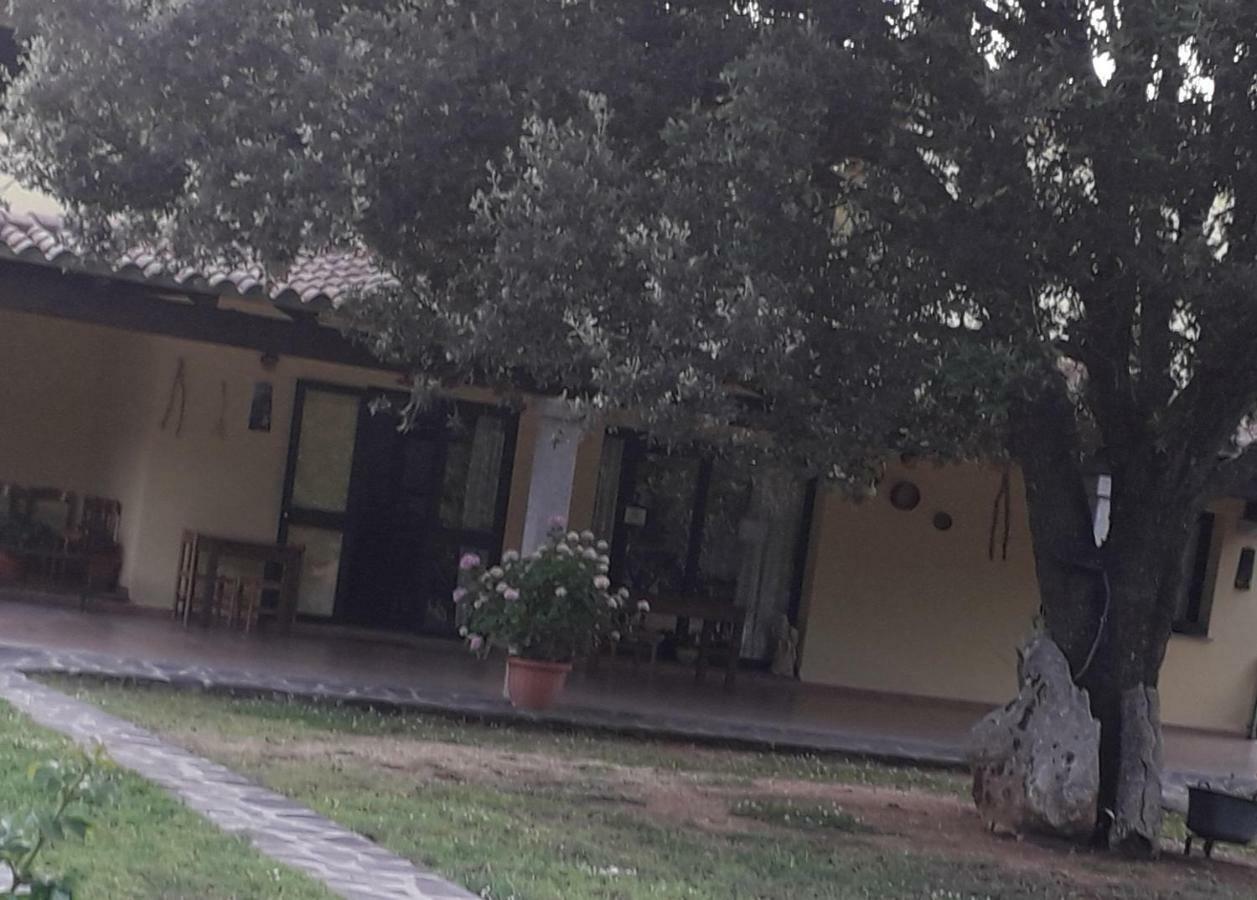 Agriturismo La Tuva Villa Padru Luaran gambar